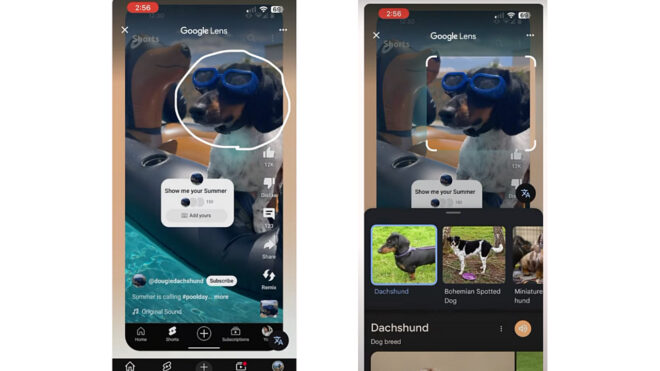 Google Lens altyapısı YouTube Shorts'a geliyor
