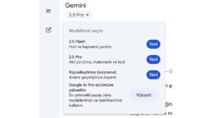 Gemini 2.5 Pro