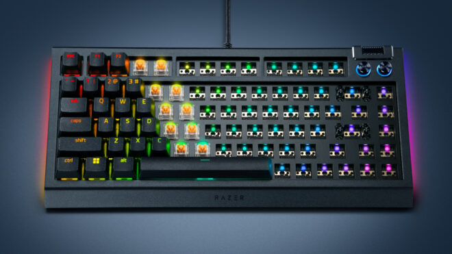 Razer BlackWidow V4 75% Barebones tanıtıldı