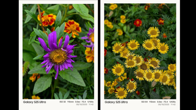 Samsung, Android 16 tabanlı One UI 8 ile fotoğraf filigranı sunacak