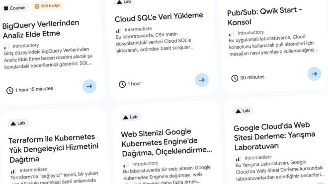 Google Skills