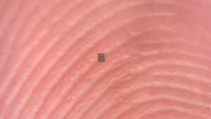 Araştırmacılar, programlanabilen dünyanın en küçük otonom robotunu üretti