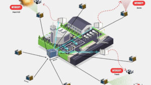 Havalimanlarına kuş ve drone önleme sistemi geliyor