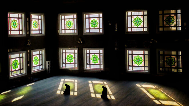 vivo- Yarismanin ikincisi: Sare Kural