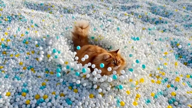 Grok, son güncelleme ile video konusunda çıtayı oldukça yükseltti