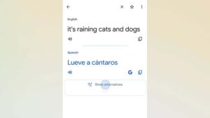 Google Translate, Gemini ile güçlendirilmeye devam ediliyor