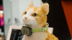 MWC 2026'da kedi ve köpeklere yönelik telefon modeli PetPhone da sergilendi