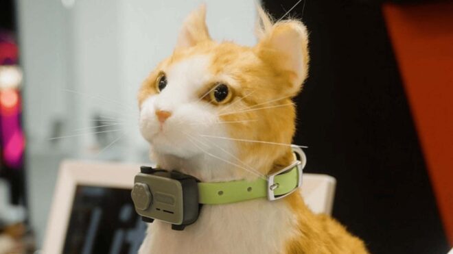 MWC 2026'da kedi ve köpeklere yönelik telefon modeli PetPhone da sergilendi