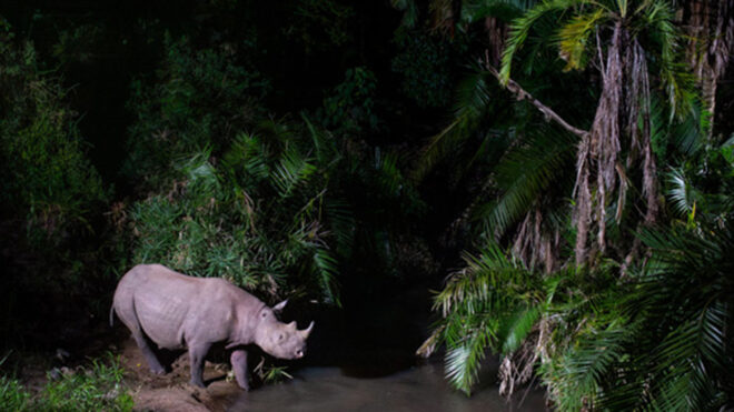 Sony-Will Burrard-Lucas