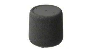 Google Gemini