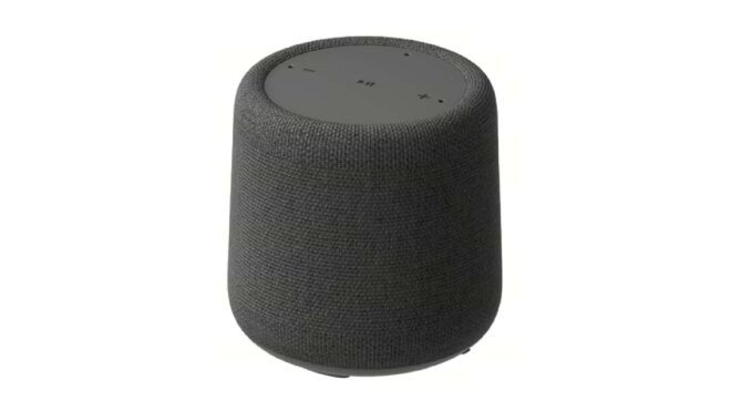 Google Gemini