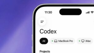 Codex