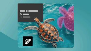 Photoshop