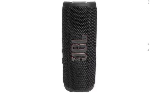 JBL Flip 6