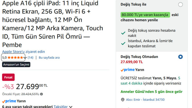 iPad