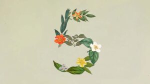 Anthropic, Claude Sonnet 5 ve Claude Science uygulamasını duyurdu