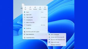 Windows 11